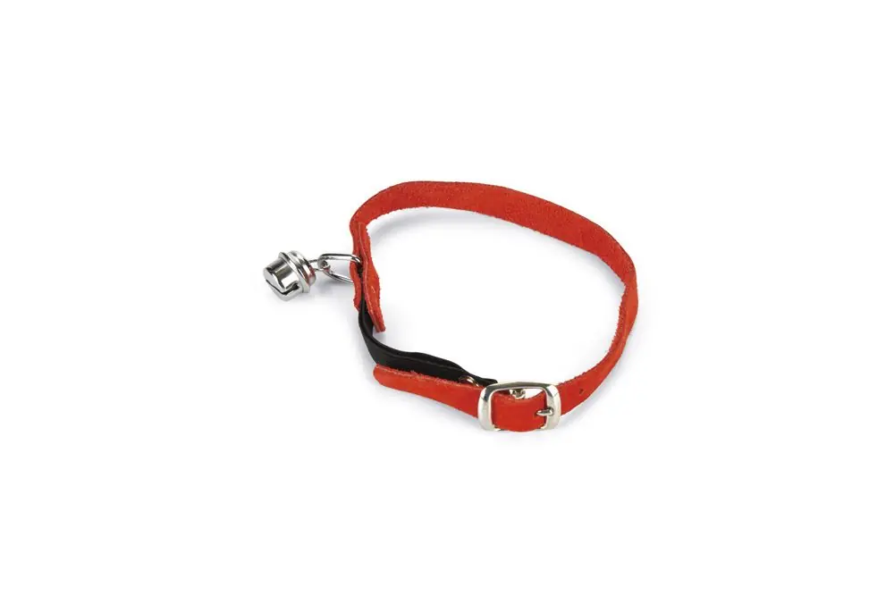 Beeztees Kattenhalsband Suède Laatste Versie