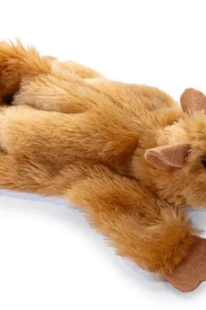 Alleen Vandaag Beeztees Catnip Speeltje Platte Gily Bruin