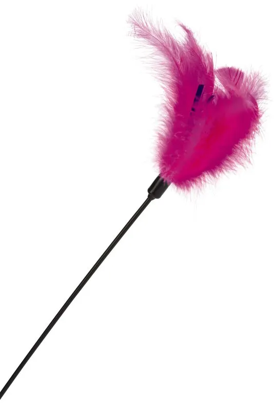 Shop Nu Beeztees kattentickler zachte veren roze