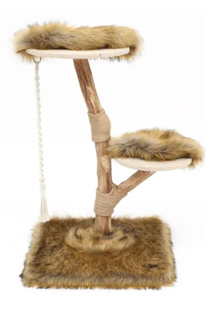 Uitverkoop Boony Est. 1941 Klimboom Prunus Grizzly Brown
