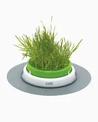 Catit Senses 2.0 Grass Planter Merkproduct