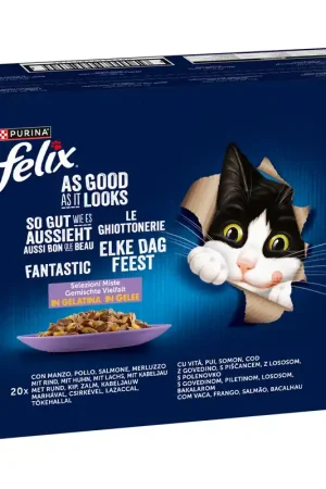 Felix Elke Dag Feest Mix Selectie in Gelei 80 x 85 gr Dagaanbieding