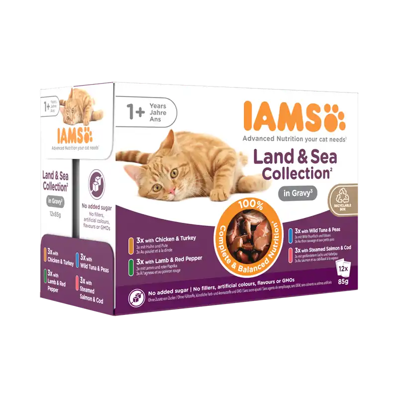 IAMS Delights Land & Sea Collection in Gravy 12 x 85 gr Snelle Levering