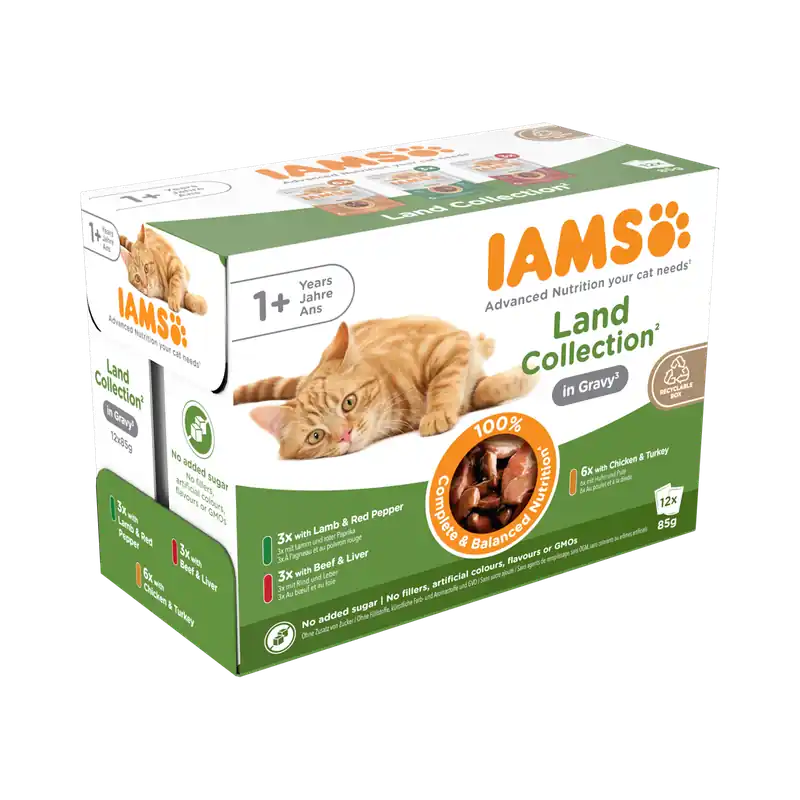 IAMS Delights Land Collection in Gravy 12 x 85 gr Voordeelprijs