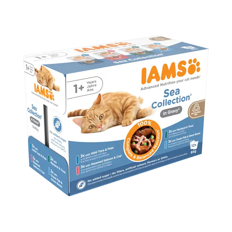 Gratis Retour IAMS Delights Sea Collection in Gravy 12 x 85 gr