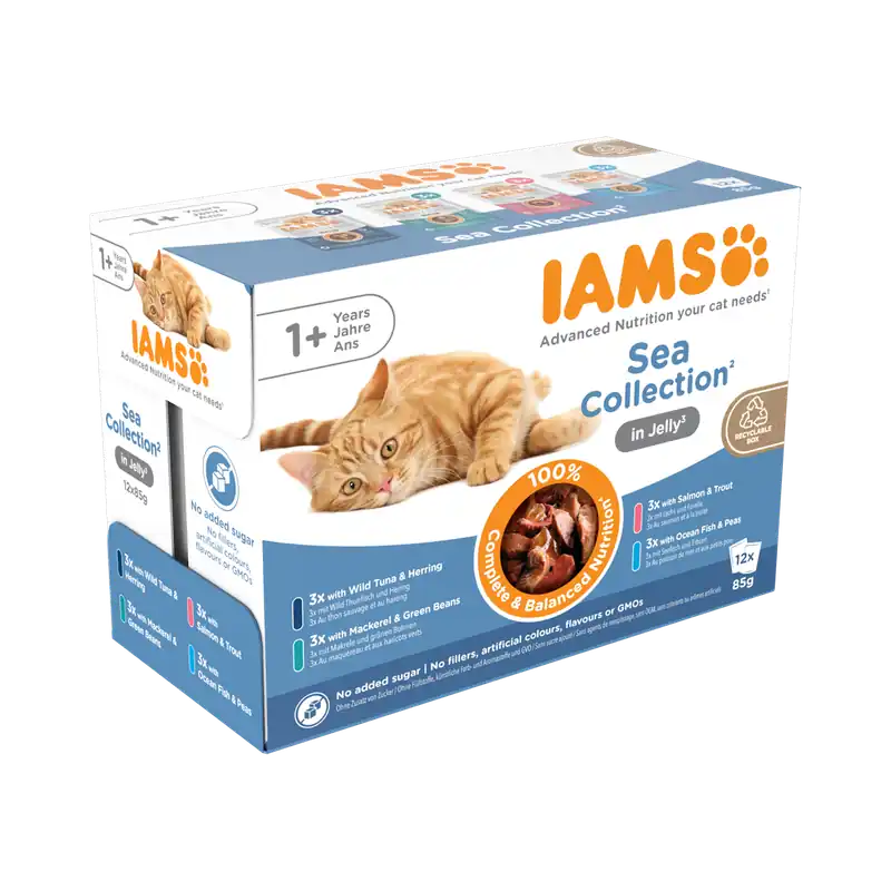 IAMS Delights Sea Collection in Jelly 12 x 85 gr Hoge Kwaliteit