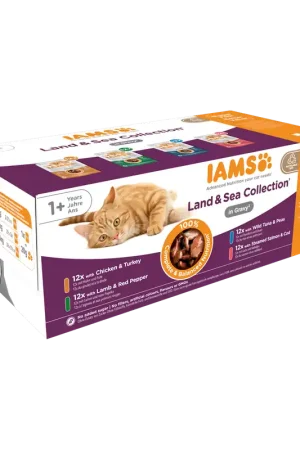 IAMS Kattenvoer Delights Land & Sea in Gravy 48 st Veilige Betaling