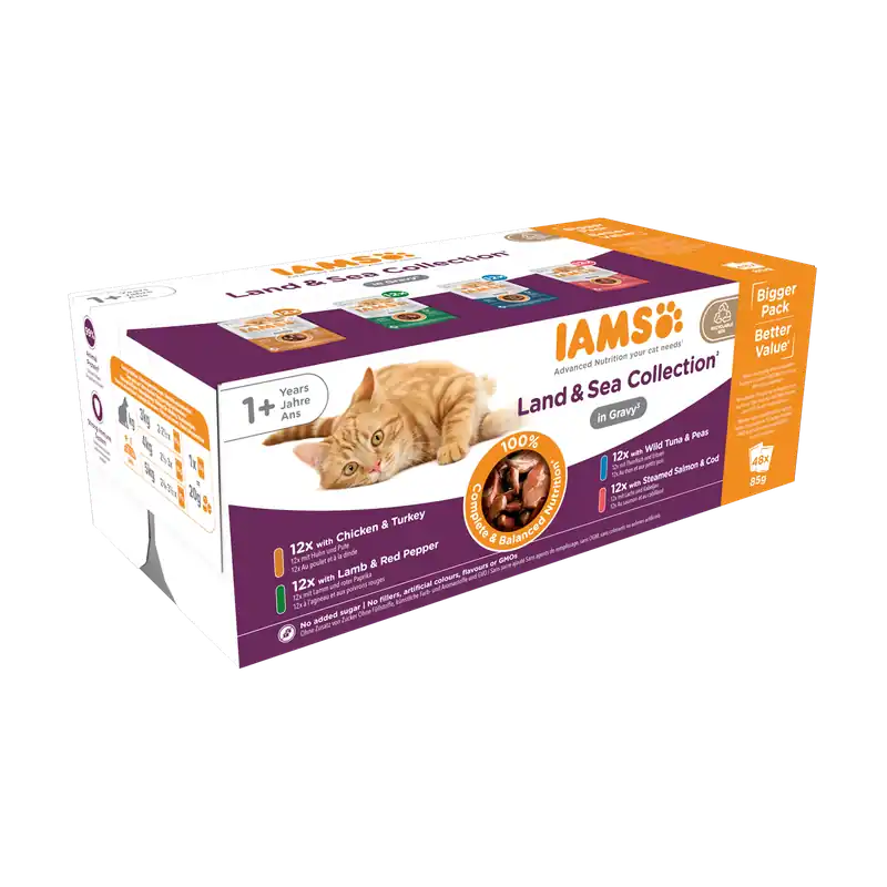 IAMS Kattenvoer Delights Land & Sea in Gravy 48 st Veilige Betaling