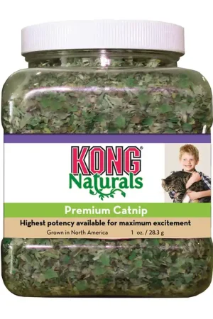 Kong potje Catnip 28 gr Goedkoop