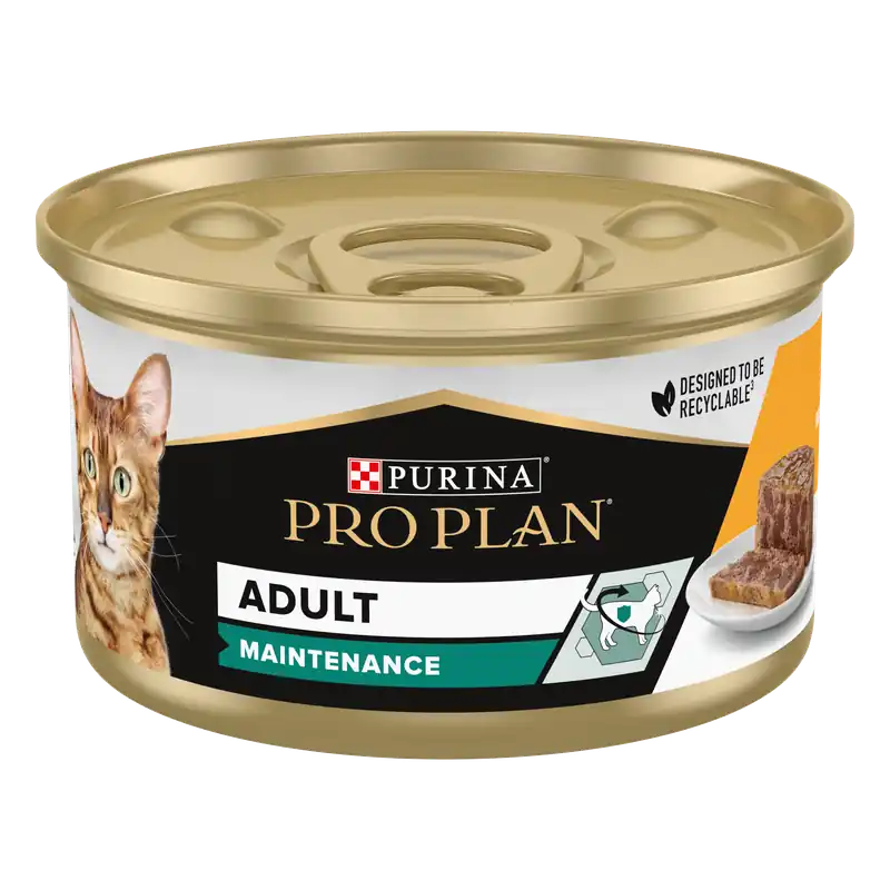 Pro Plan Kattenvoer Adult Kip Pate 85 gr Nieuw