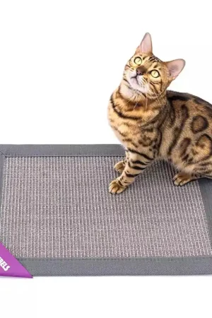 Flitsaanbieding Petrebels Mastermat 60 Grey