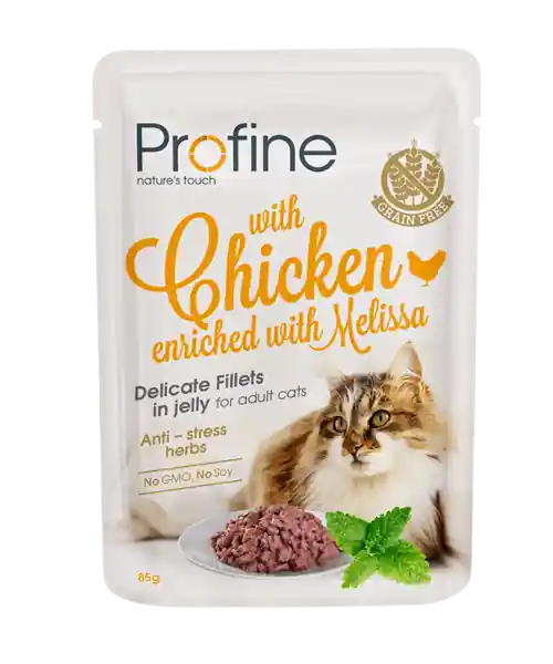 Profine kattenvoer Fillets in Jelly Adult Chicken 85 gr Exclusieve Aanbieding
