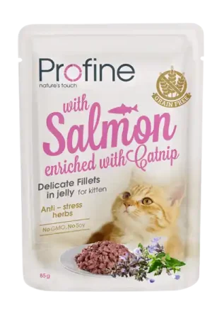 Profine kattenvoer Fillets in Jelly Kitten Salmon 85 gr Weekendaanbieding