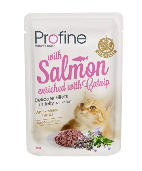 Profine kattenvoer Fillets in Jelly Kitten Salmon 85 gr Weekendaanbieding