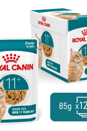 Royal Canin Kattenvoer Ageing 11+ in Jelly 12 x 85 gr Shop Nu