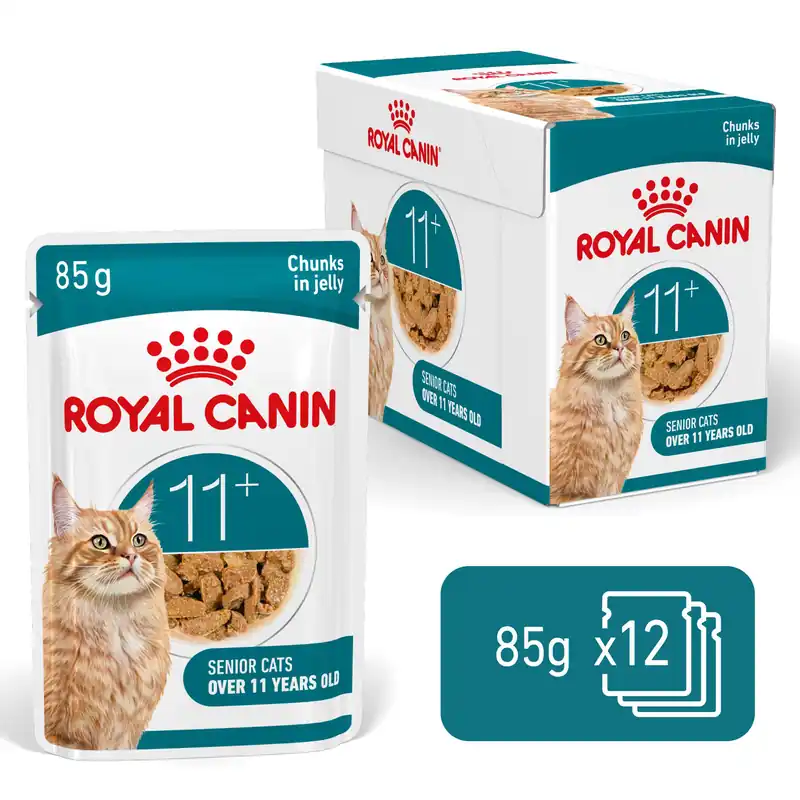Royal Canin Kattenvoer Ageing 11+ in Jelly 12 x 85 gr Shop Nu