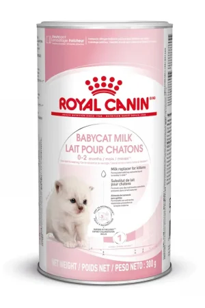 Royal Canin Kattenvoer Babycat Milk 300 gr Snelle Levering