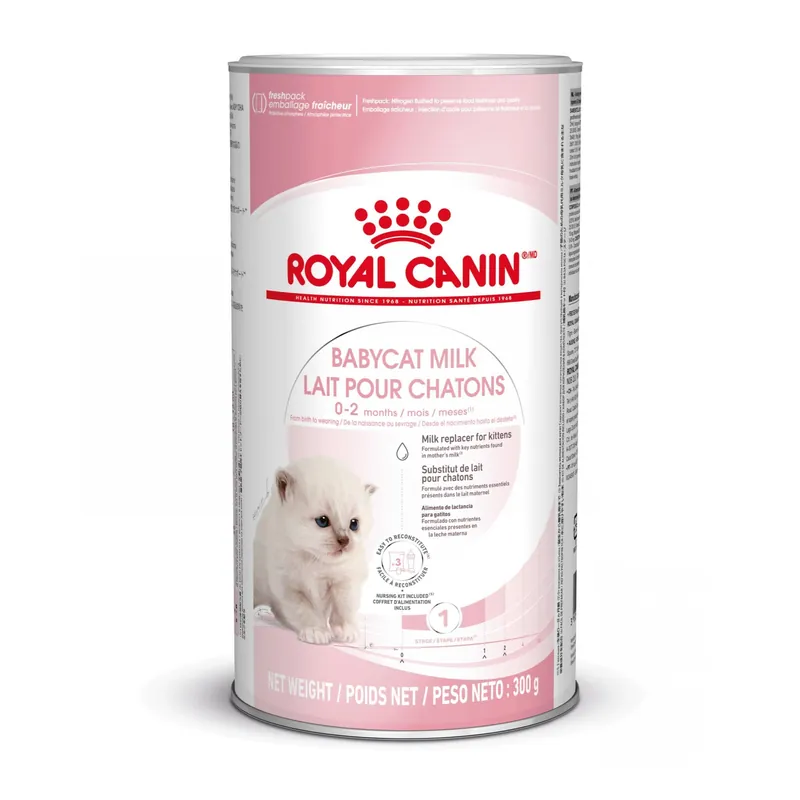 Royal Canin Kattenvoer Babycat Milk 300 gr Snelle Levering