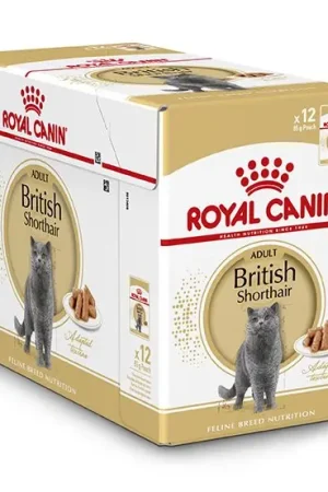 Royal Canin Kattenvoer British Shorthair Adult 12 x 85 gr Uitverkoop