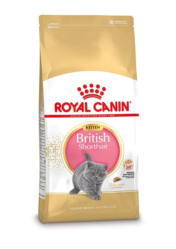 Royal Canin Kattenvoer British Shorthair Kitten 10 kg Shop Nu