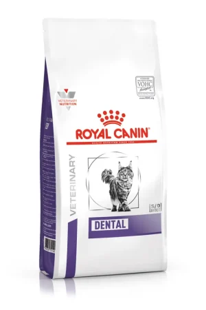 Royal Canin kattenvoer Dental 3 kg Express Levering