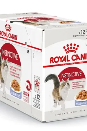 Gecertificeerd Royal Canin Kattenvoer Instinctive in Jelly 12 x 85 gr
