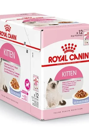Royal Canin Kattenvoer Kitten in Jelly 12 x 85 gr Direct Beschikbaar