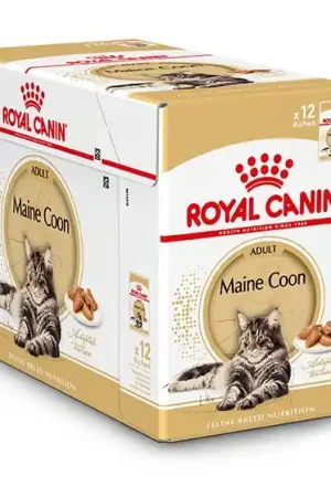 Royal Canin Kattenvoer Maine Coon Adult 12 x 85 gr Hete Deal