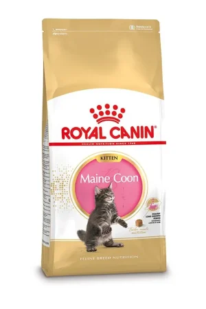 Beperkte Voorraad Royal Canin Kattenvoer Maine Coon Kitten 4 kg