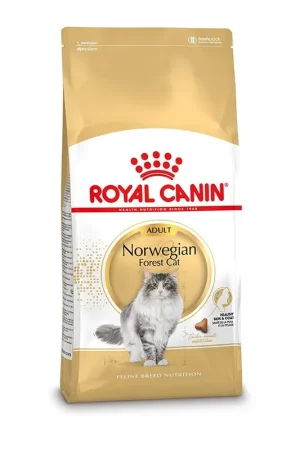 Koopje Royal Canin Kattenvoer Norwegian Forest Cat Adult 10 kg