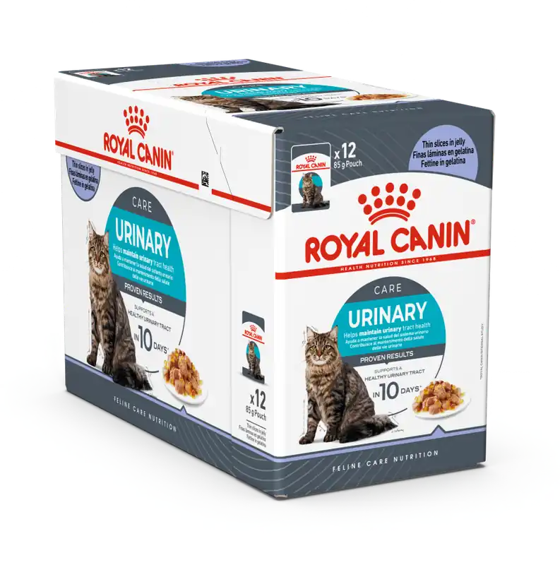 Royal Canin Kattenvoer Urinary Care in Jelly 12 x 85 gr Beperkt Aanbod