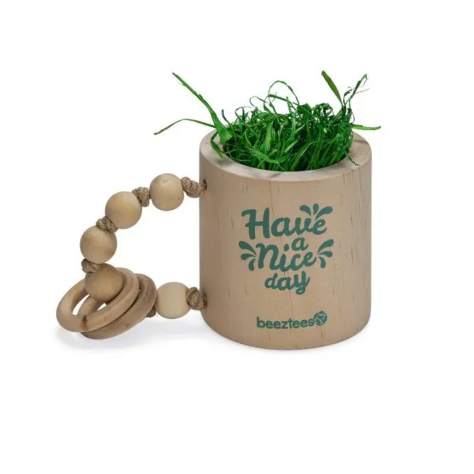 Beeztees Knaagdierspeelgoed Have a Nice Day Express Levering