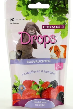 Beperkt Aanbod ESVE Knaagdier Drops Bosvruchten 75 gr
