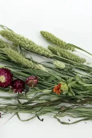 Snelle Levering ESVE Pet Bouquet Weidegewas