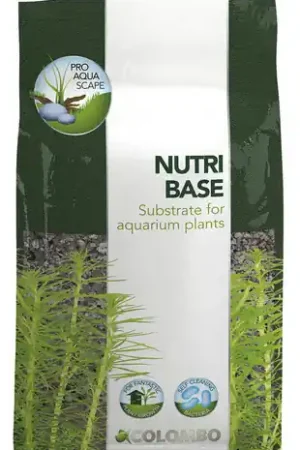 Nieuw Colombo Flora Nutri Base 5 ltr