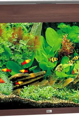 Alleen Vandaag Juwel aquarium Rio 125 LED donkerbruin