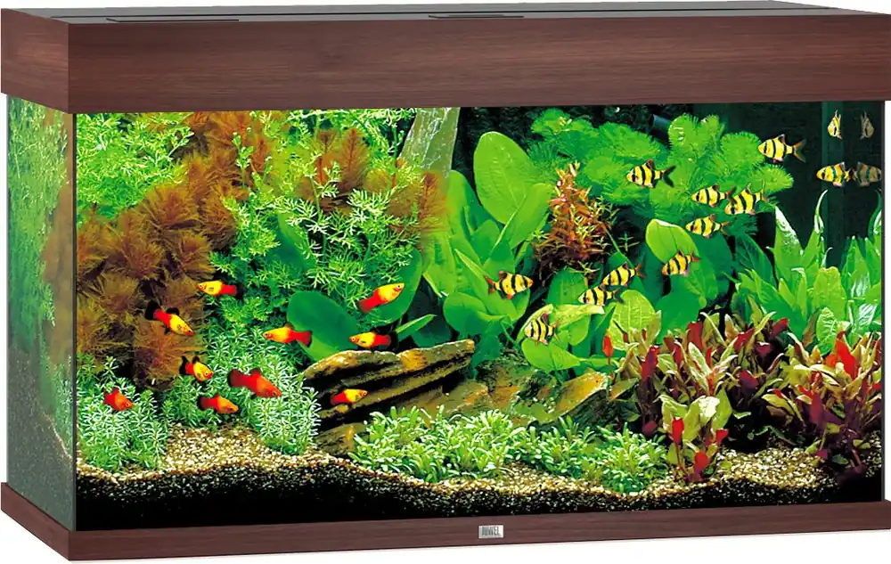 Alleen Vandaag Juwel aquarium Rio 125 LED donkerbruin