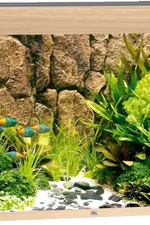 Bestel Nu Juwel aquarium Rio 350 LED licht eiken