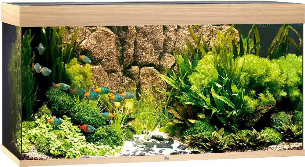 Bestel Nu Juwel aquarium Rio 350 LED licht eiken