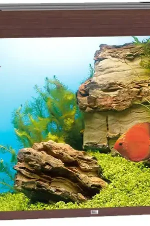 Veilige Betaling Juwel aquarium Rio 450 LED donkerbruin