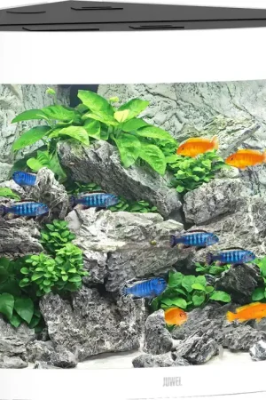 Aanbieding Juwel aquarium Trigon 190 LED wit