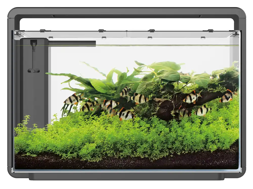 SuperFish Aquarium Home 65 Zwart Merkproduct