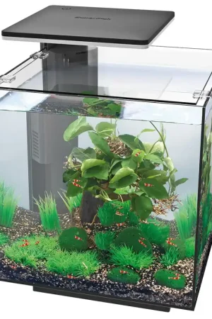 Express Levering SuperFish Aquarium Qubic 30 Pro Zwart