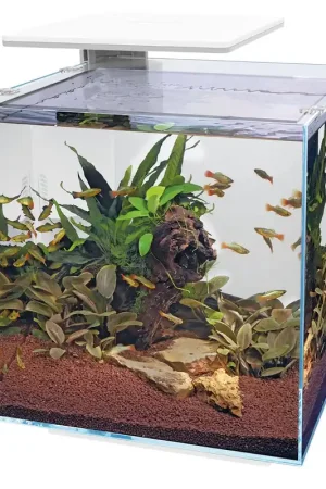 SuperFish aquarium Qubiq 60 Pro wit Premium