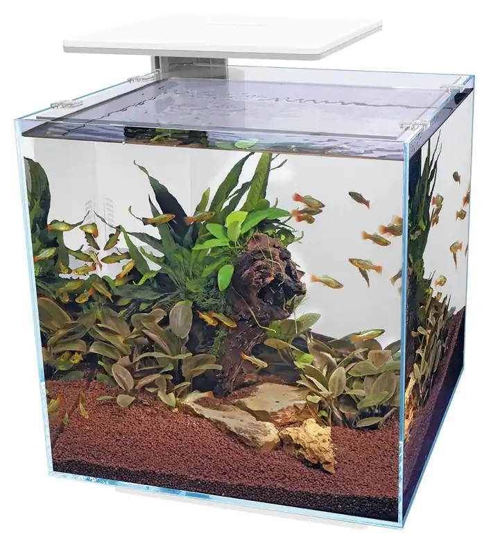 SuperFish aquarium Qubiq 60 Pro wit Premium