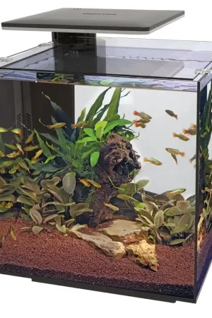 SuperFish aquarium Qubiq 60 Pro zwart Gereduceerde Prijs