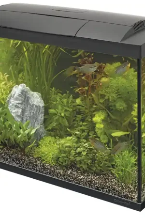 Alleen Vandaag SuperFish aquarium Start 100 Tropical kit zwart