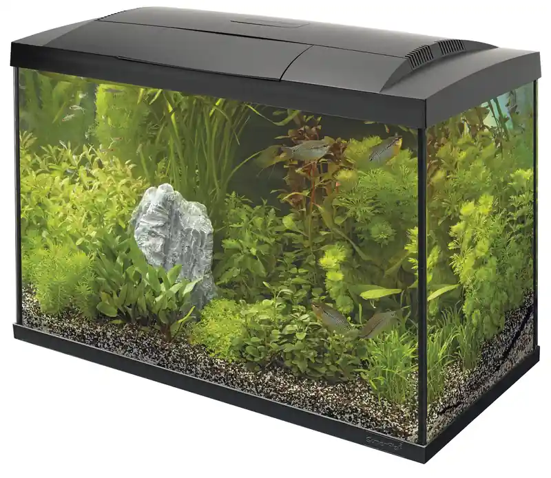 Alleen Vandaag SuperFish aquarium Start 100 Tropical kit zwart