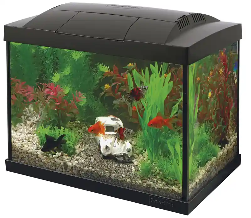 SuperFish aquarium Start 20 Goldfish kit zwart Finale Uitverkoop