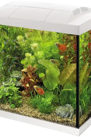 Direct Verzonden SuperFish aquarium Start 30 Tropical kit wit